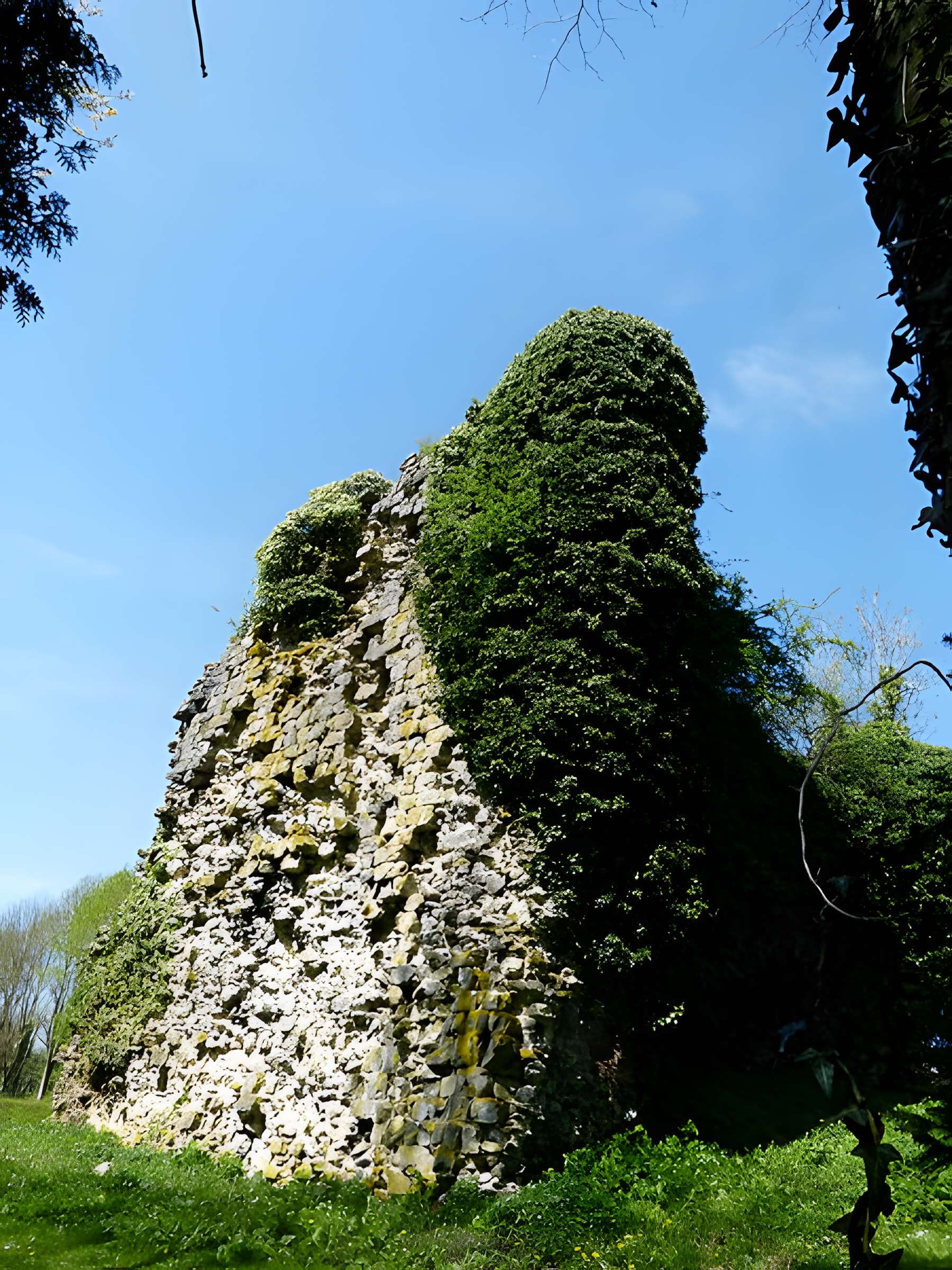 Tour sarrazine de Beaufort