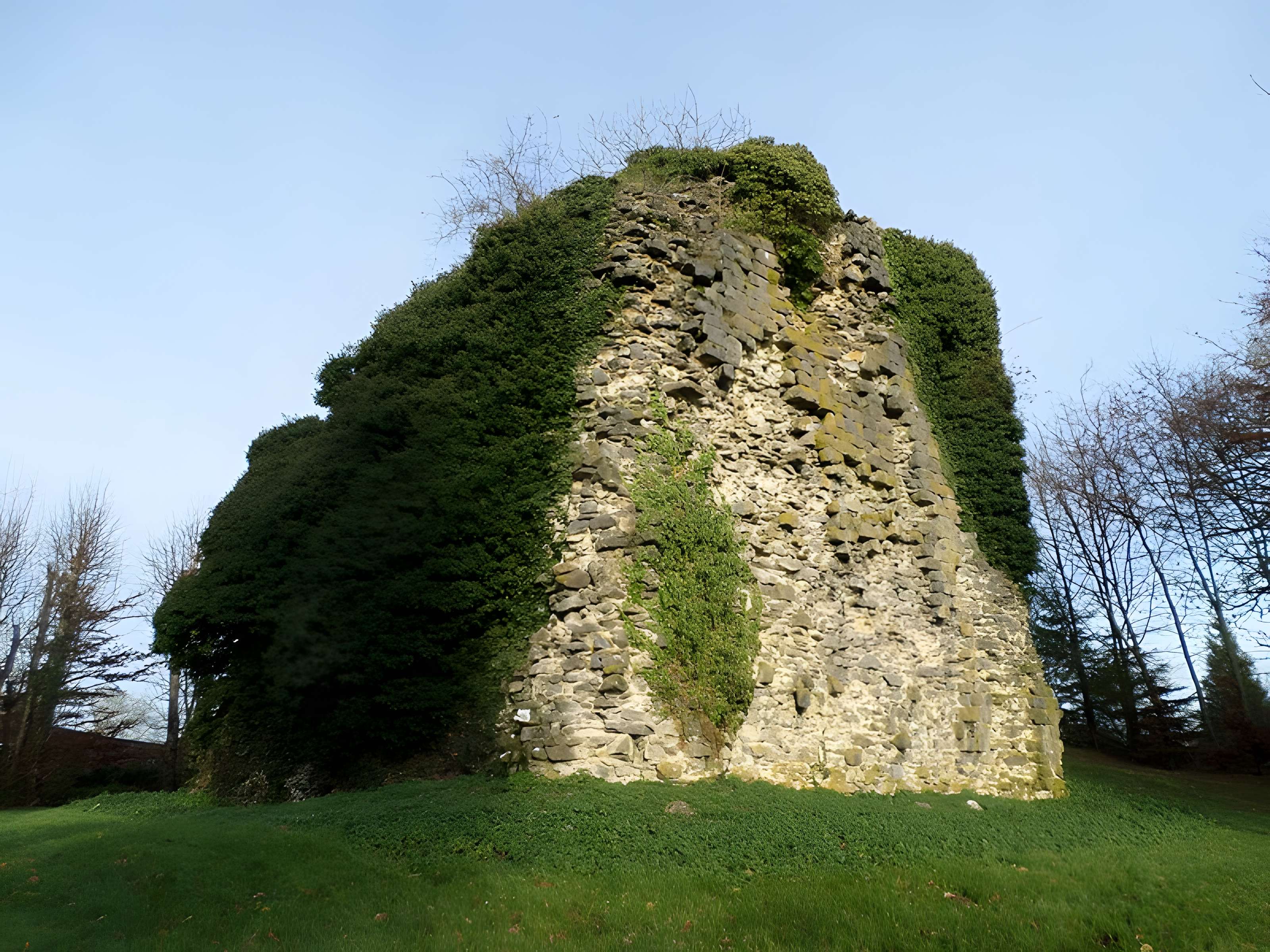 Tour sarrazine de Beaufort