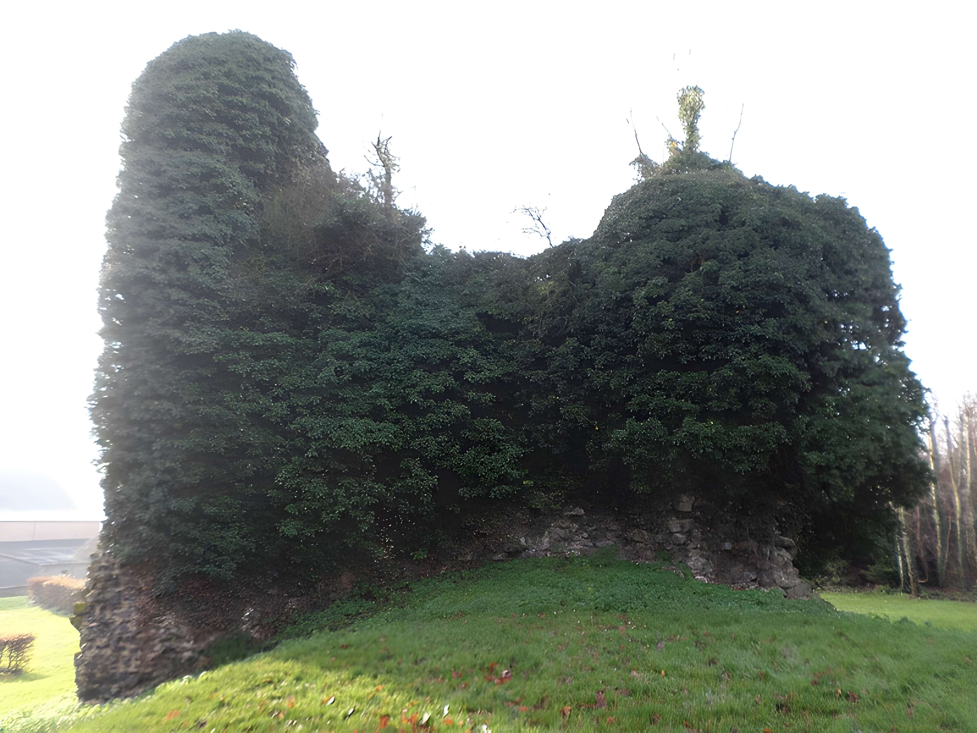 Tour sarrazine de Beaufort