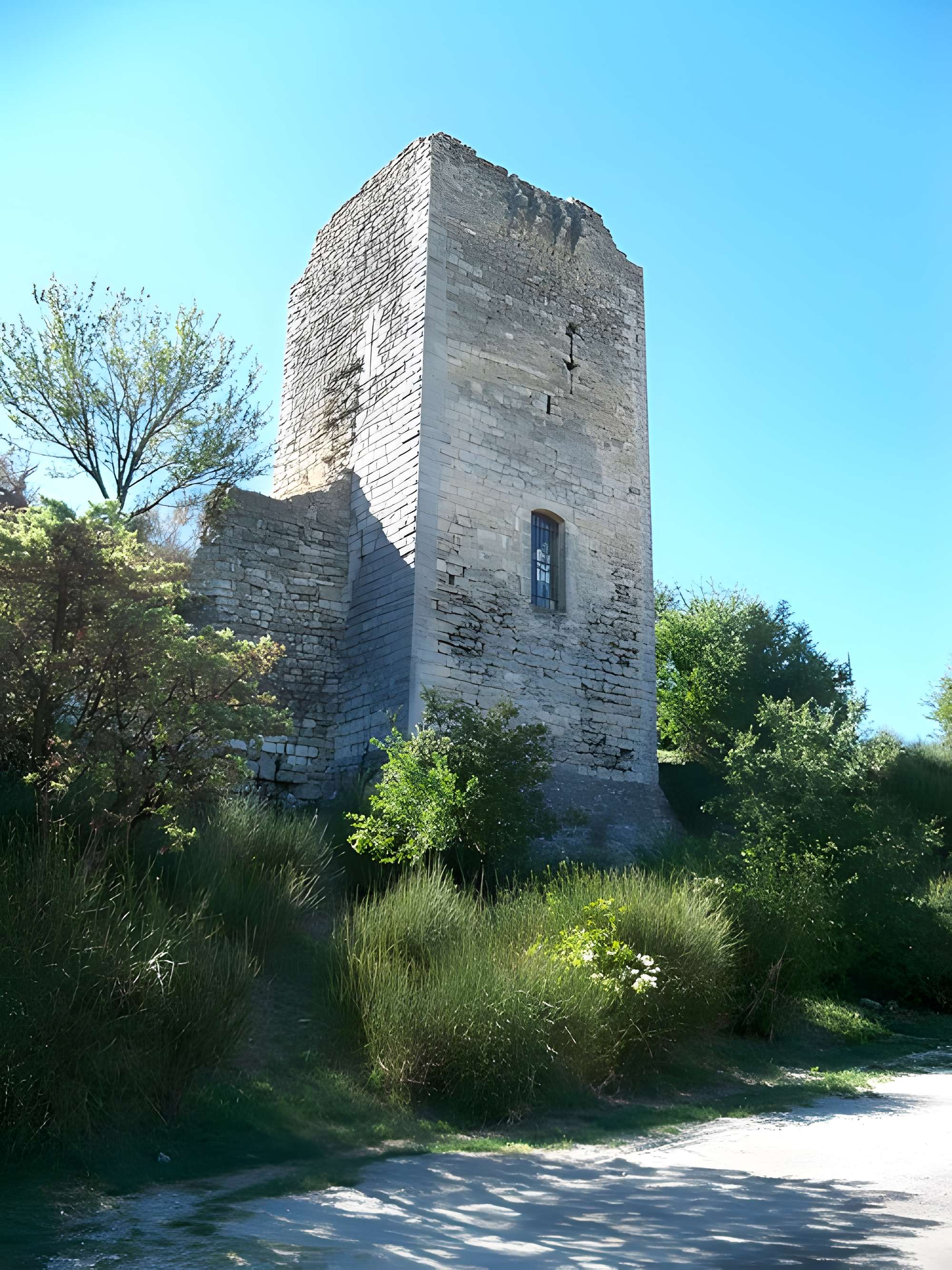 Tour talutée de Clansayes