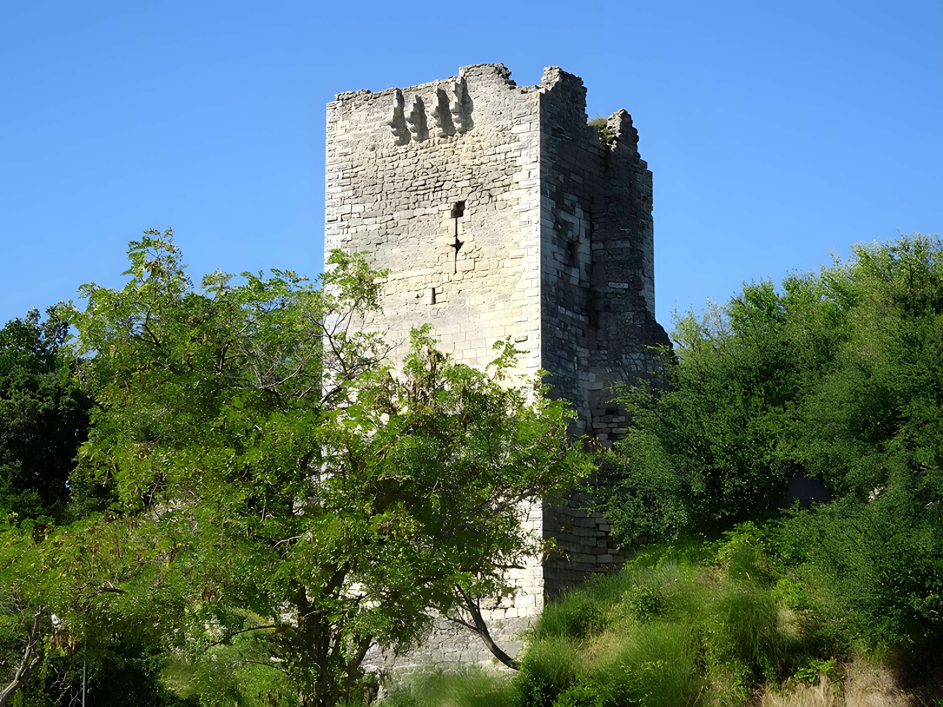 Tour talutée de Clansayes