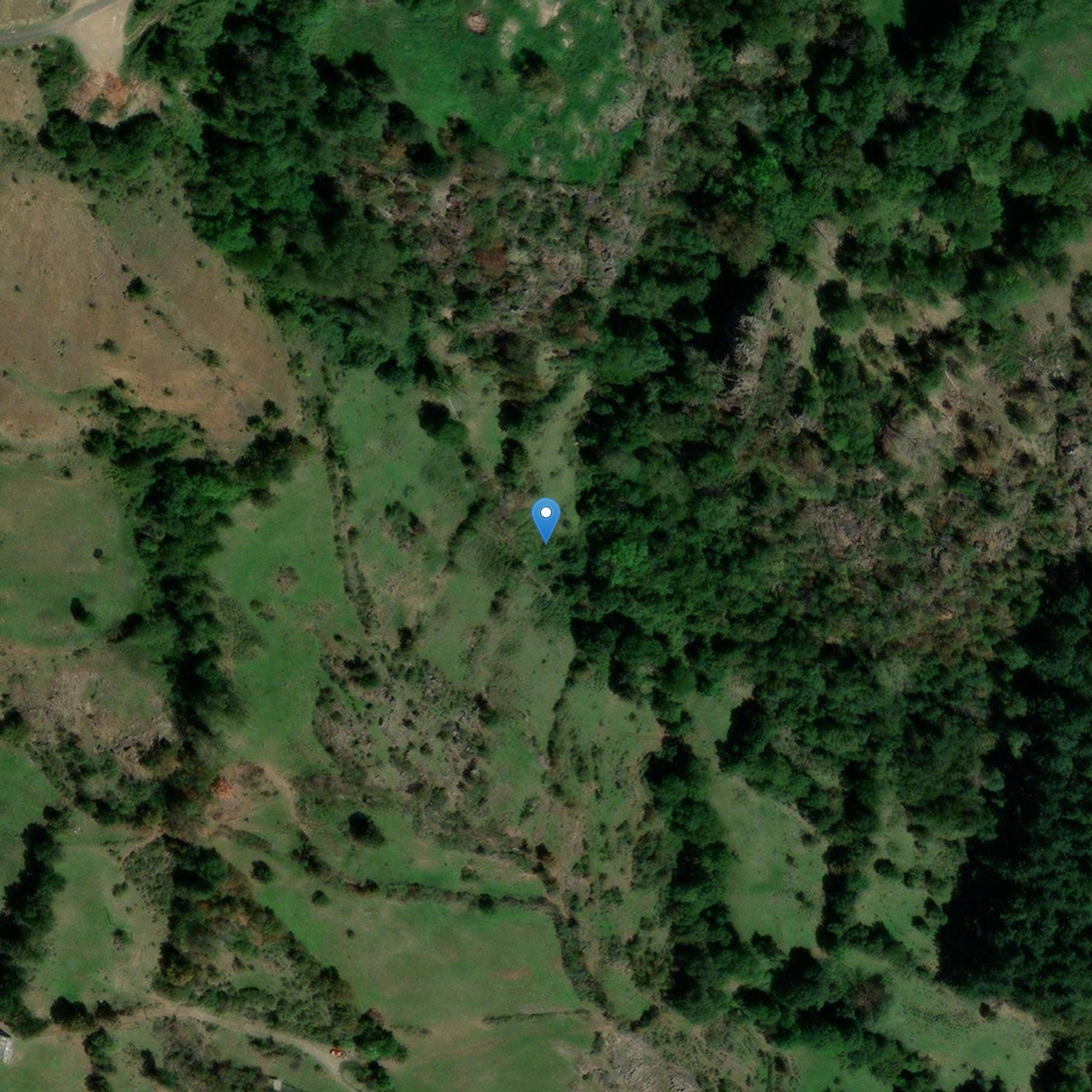 Photo de Treize menhirs du groupe dit de la Maisonnette aux Bondons