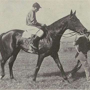 tribunes de l hippodrome de la canche au touquet paris plage