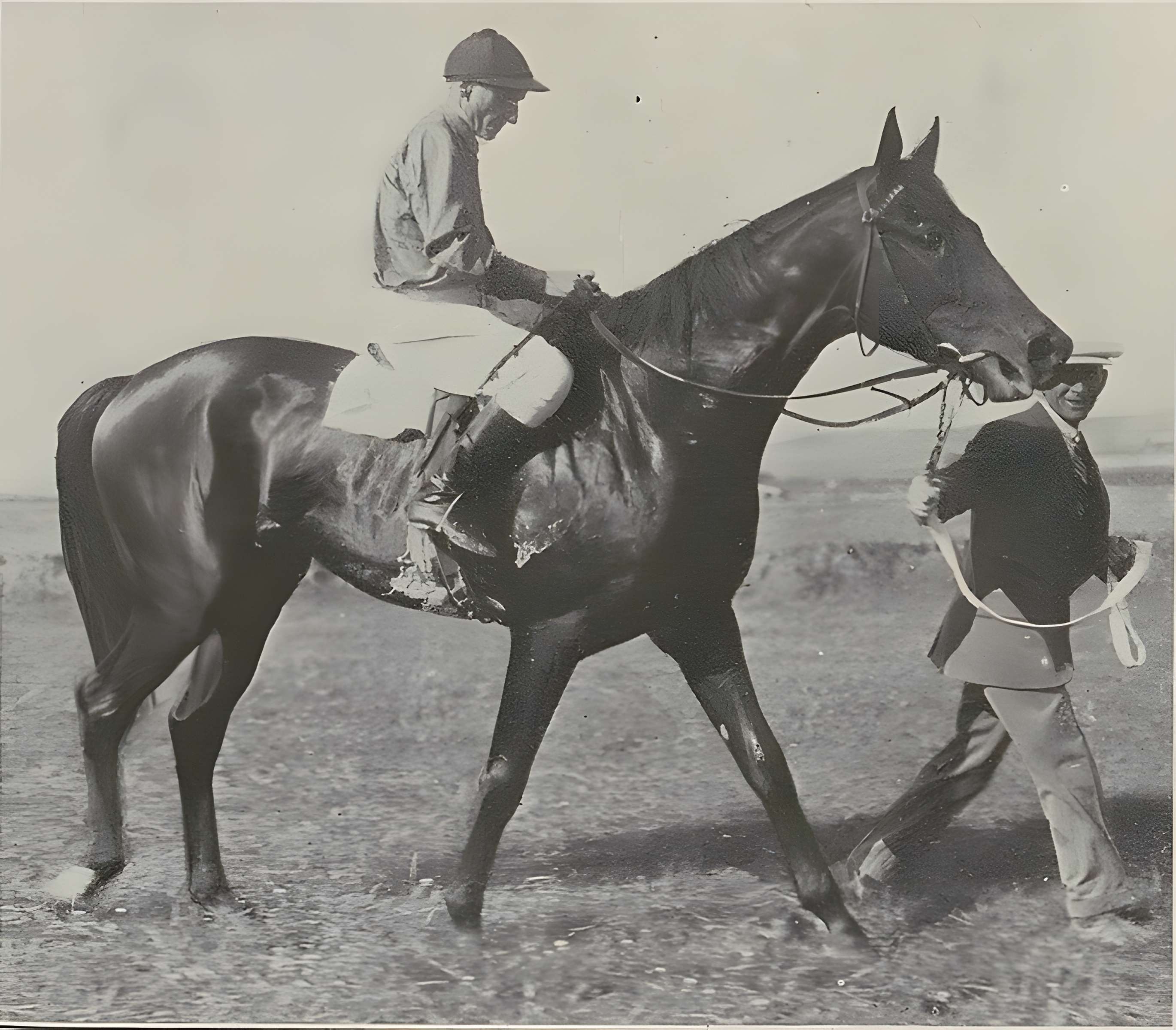 Tribunes de l'hippodrome de la Canche au Touquet-Paris-Plage