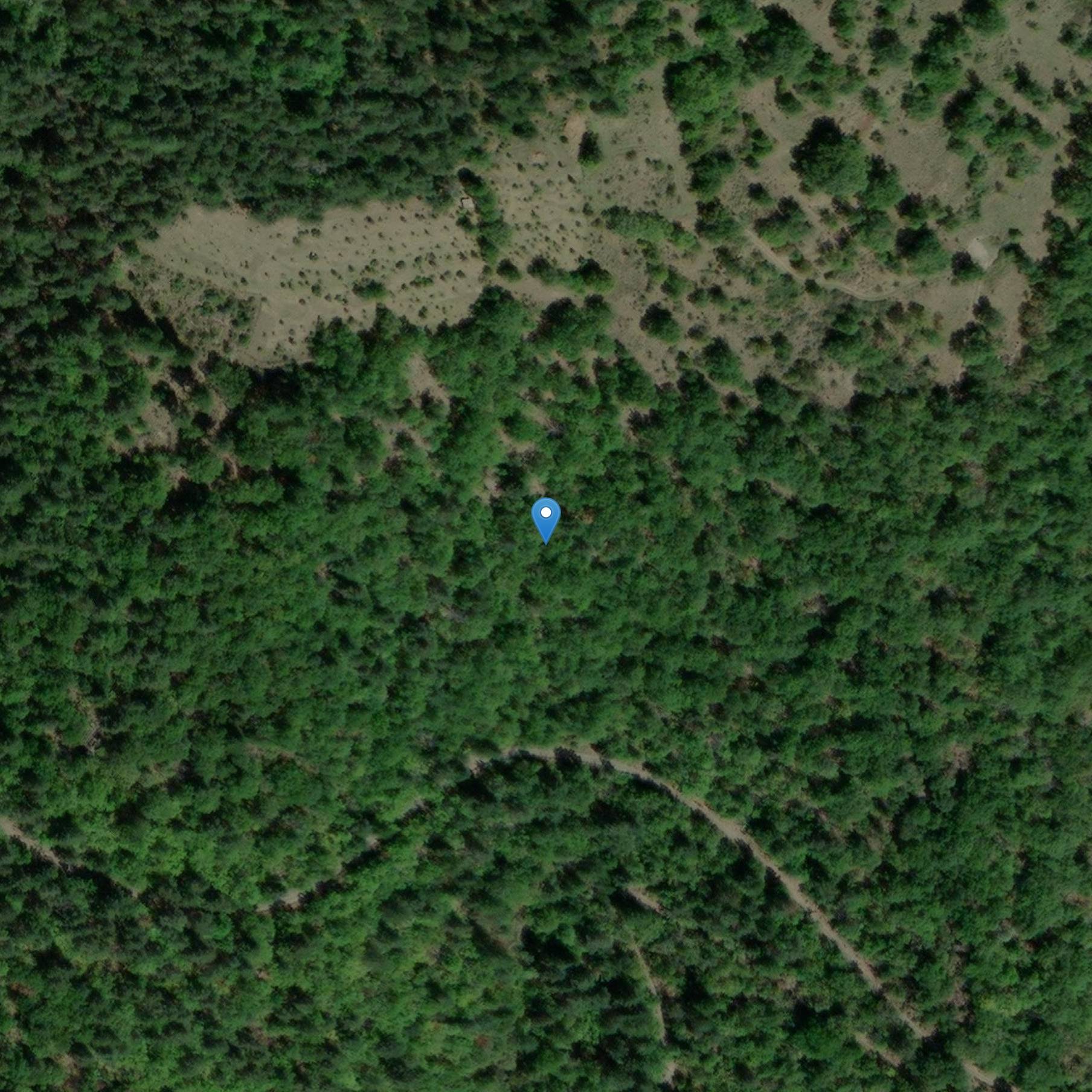 Photo de 贝杜埃的3名登希尔