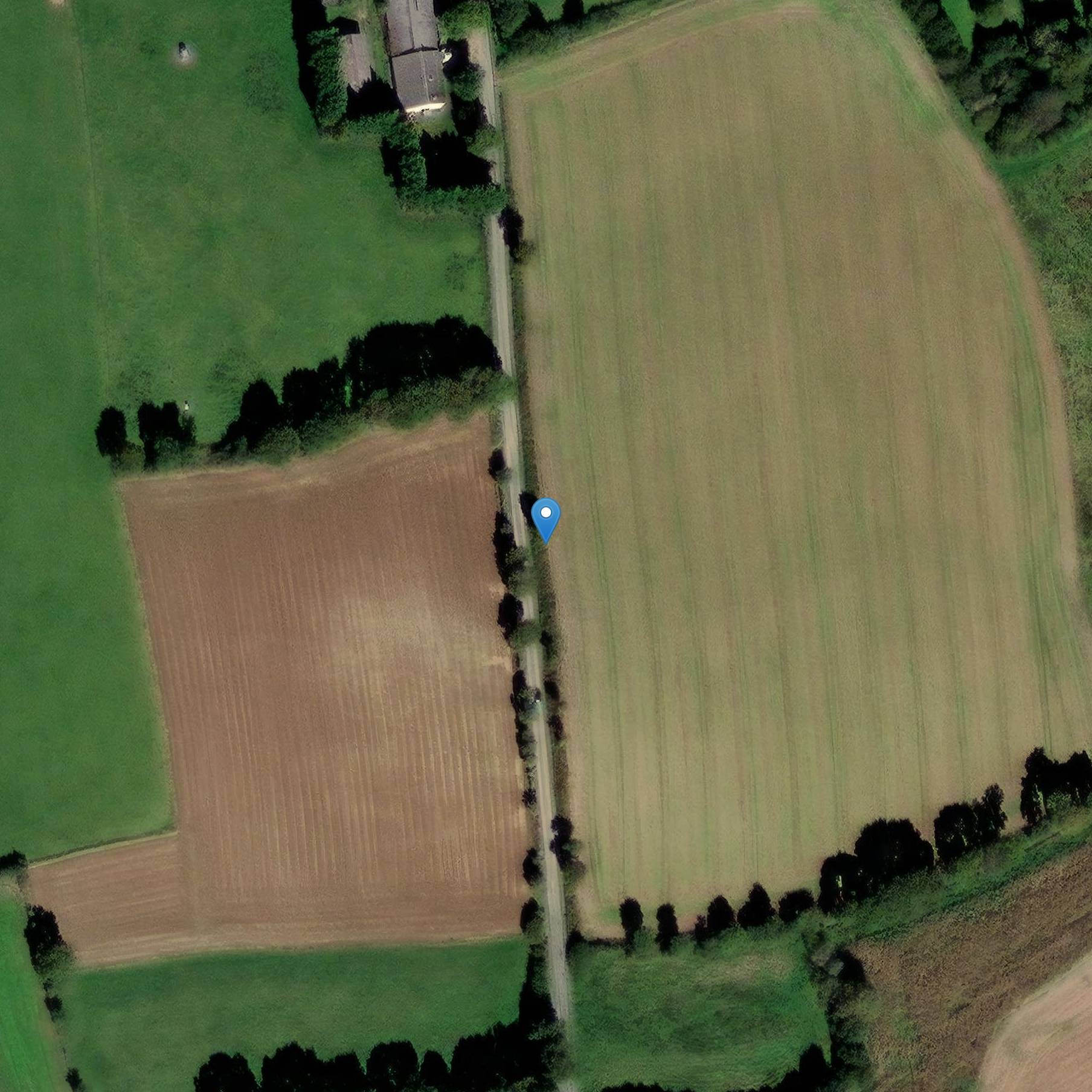 Photo de 克格洛夫·图穆利