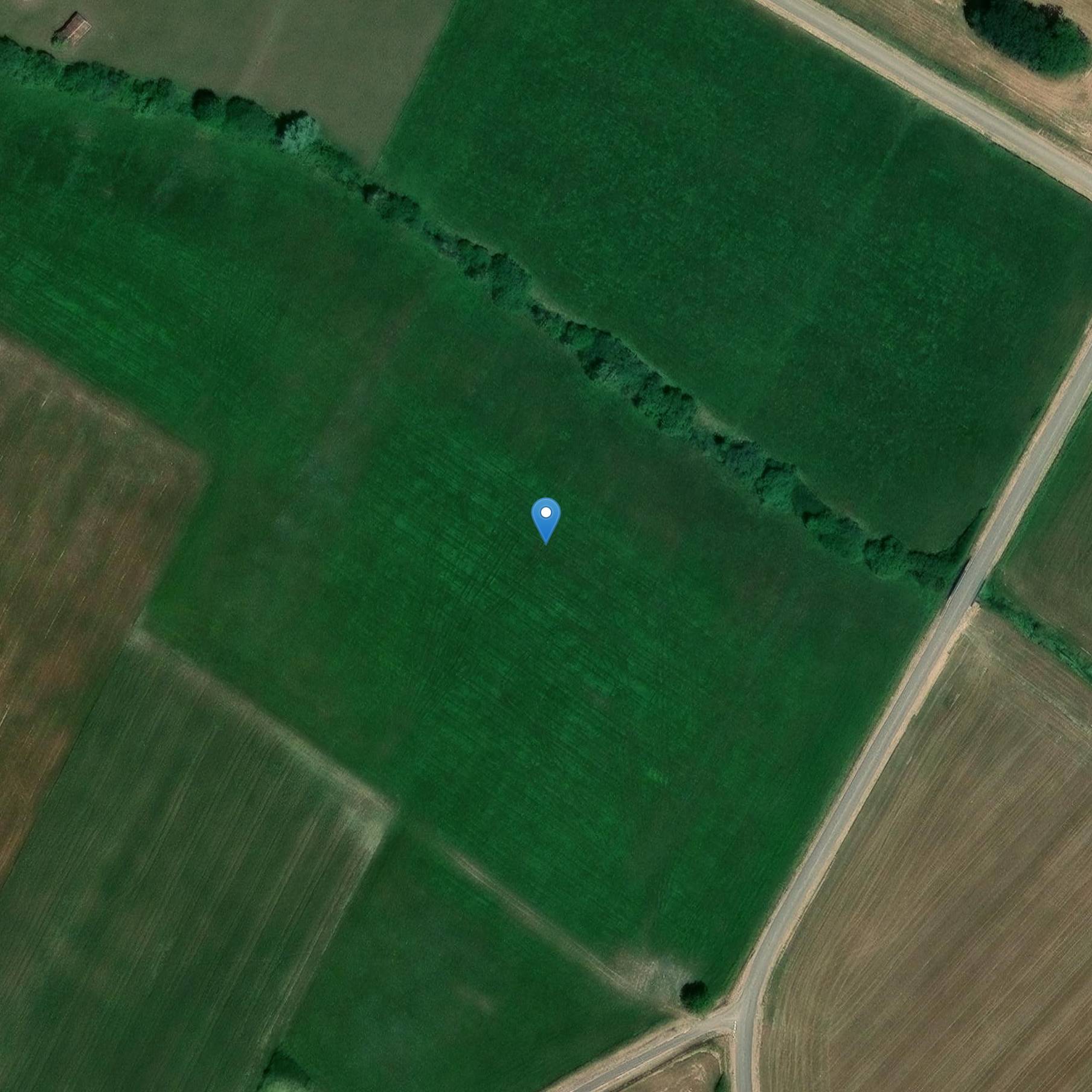 Photo de Tumuli du bois Saint-Charles de Beaufremont