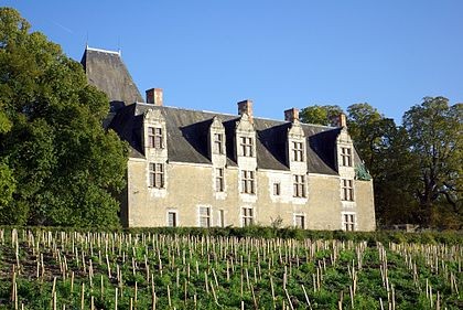 Photo de Château de la Cour-au-Berruyer