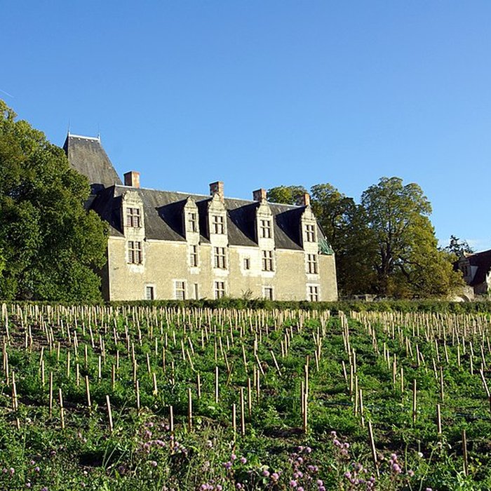 Photo de Château de la Cour-au-Berruyer