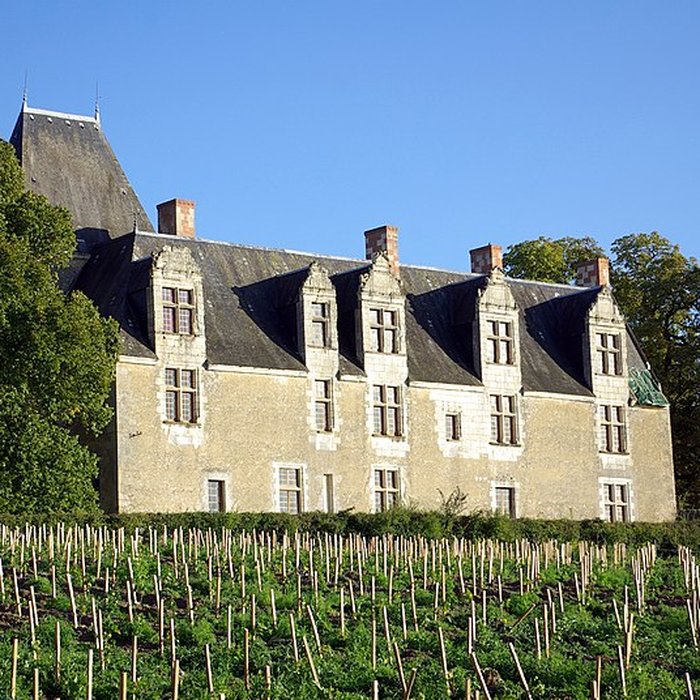 Photo de Château de la Cour-au-Berruyer