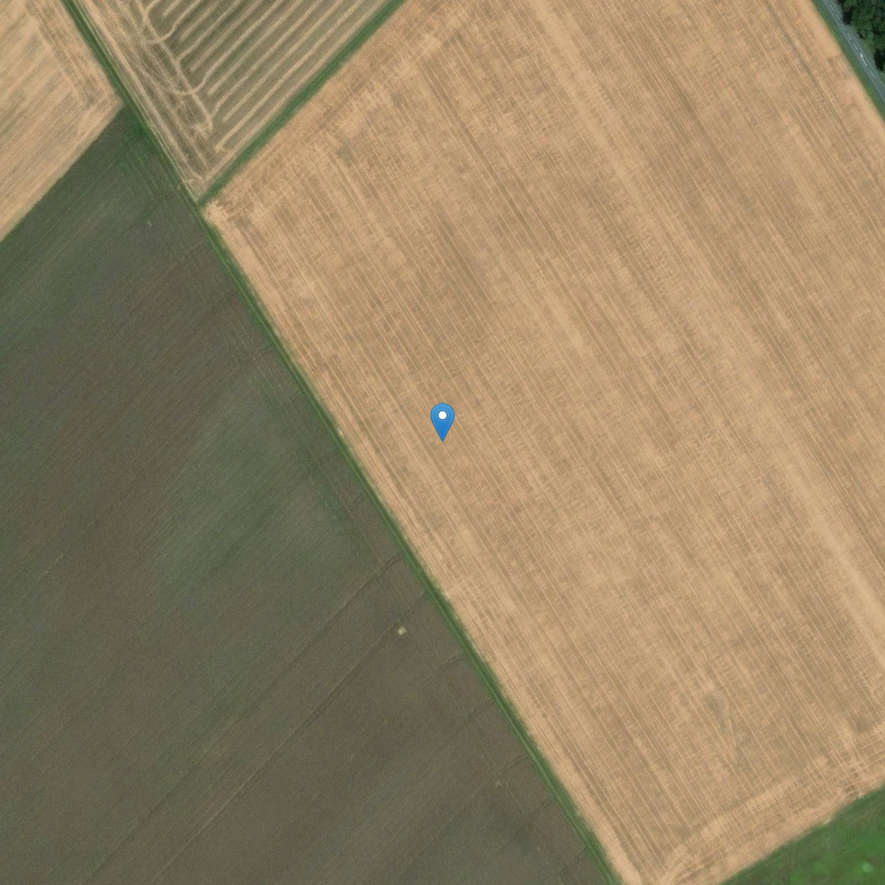 Photo de 巴康·图穆卢斯