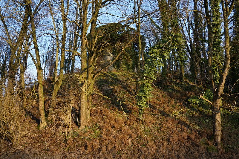 Photo de Tumulus de Bussy-le-Château