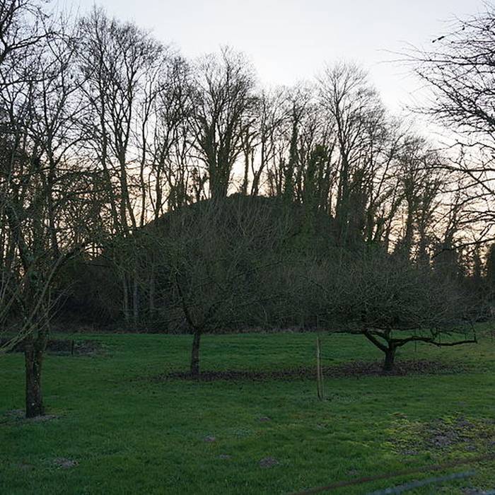 Photo de Tumulus de Bussy-le-Château