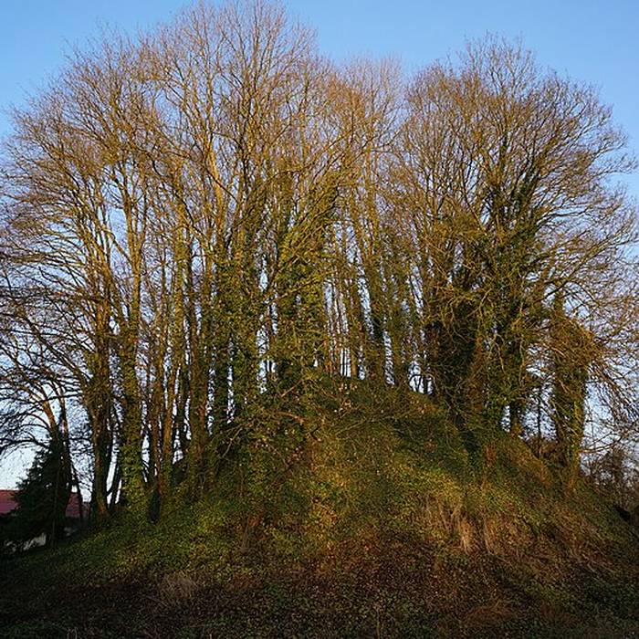 Photo de Tumulus de Bussy-le-Château