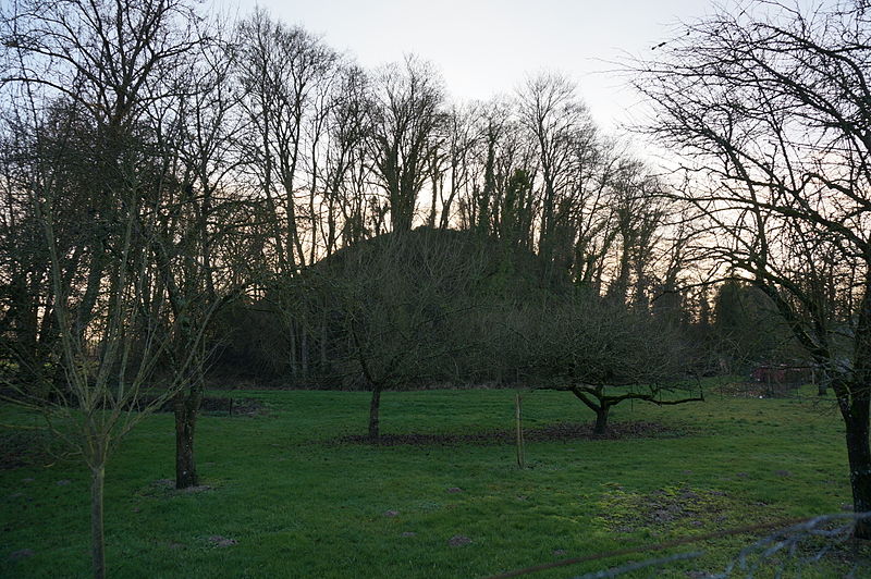 Tumulus de Bussy-le-Château