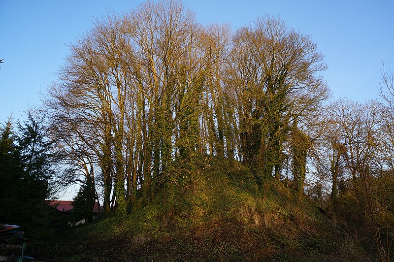 Tumulus de Bussy-le-Château