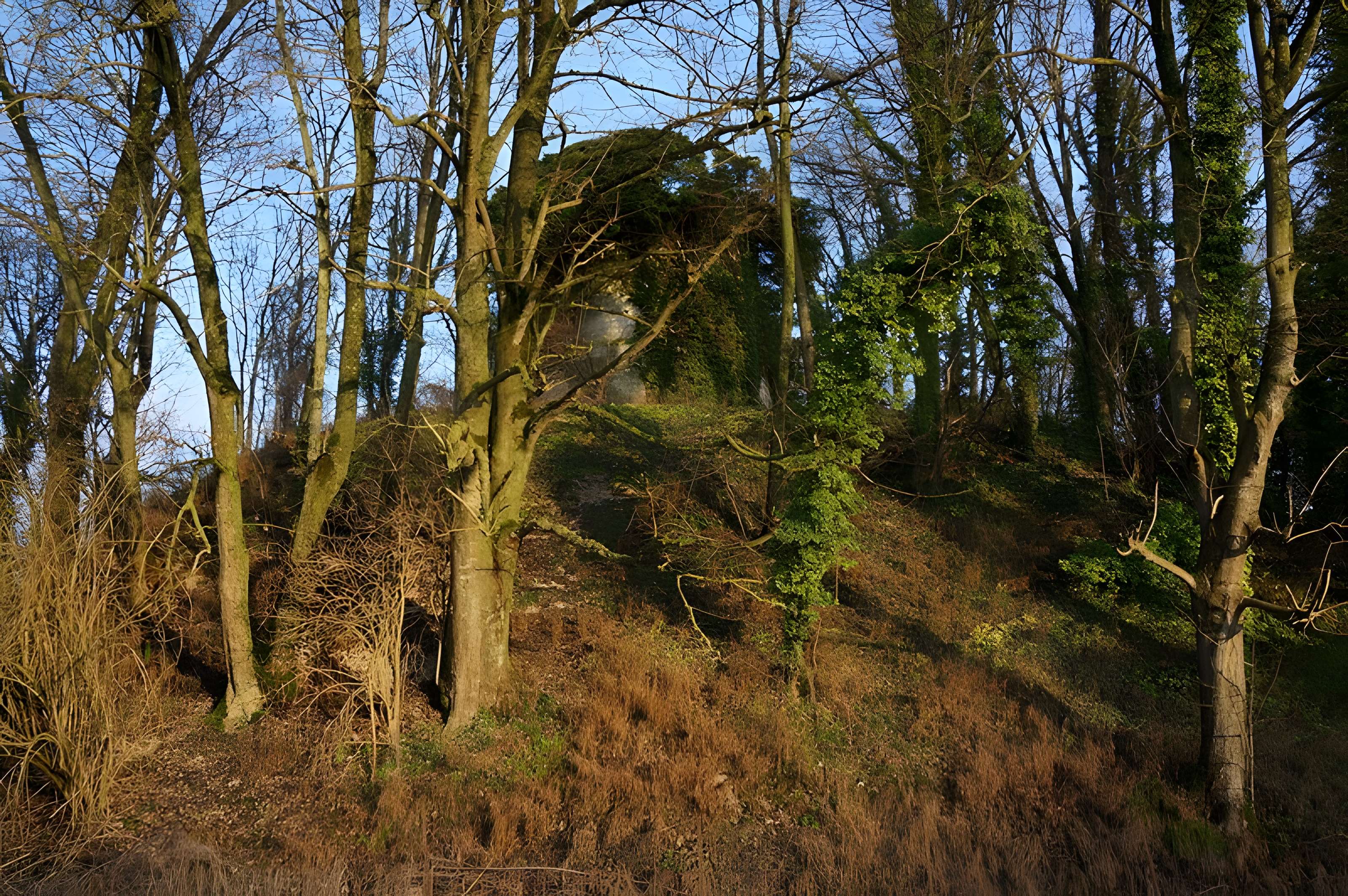 Tumulus de Bussy-le-Château 