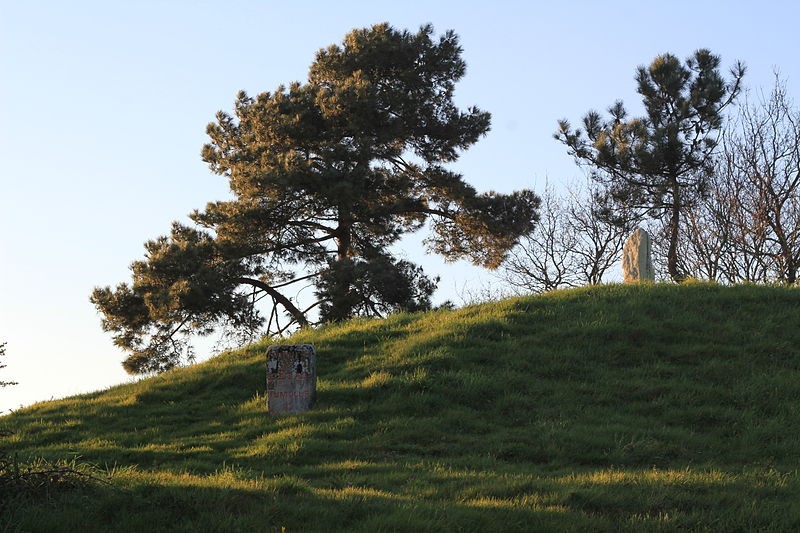 Photo de Tumulus de Crucuny à Carnac