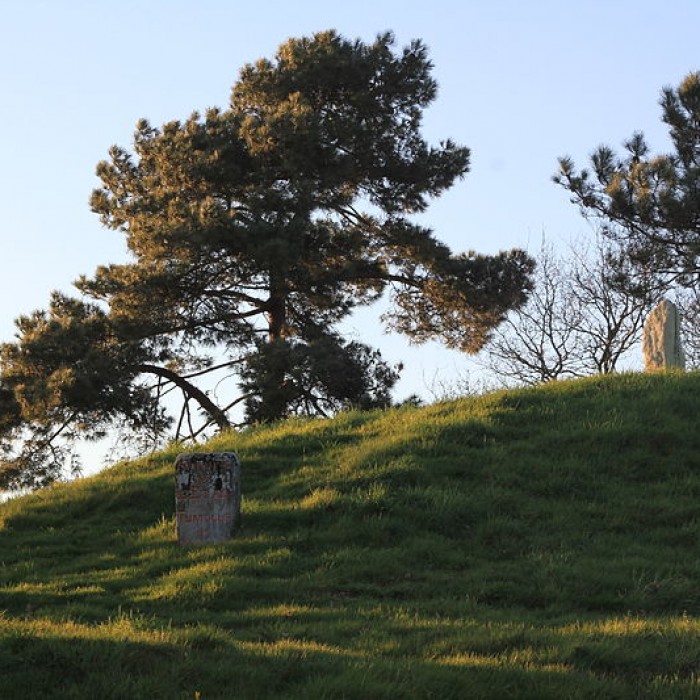 Photo de Tumulus de Crucuny à Carnac