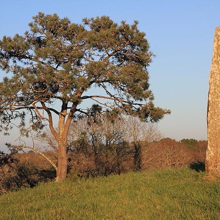 Photo de Tumulus de Crucuny à Carnac