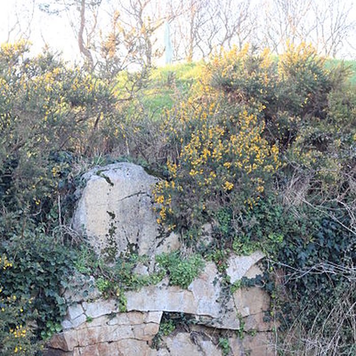 Photo de Tumulus de Crucuny à Carnac