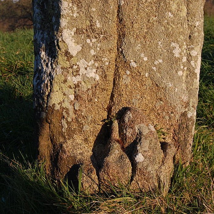 Photo de Tumulus de Crucuny à Carnac