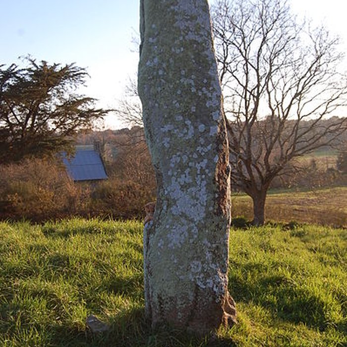 Photo de Tumulus de Crucuny à Carnac
