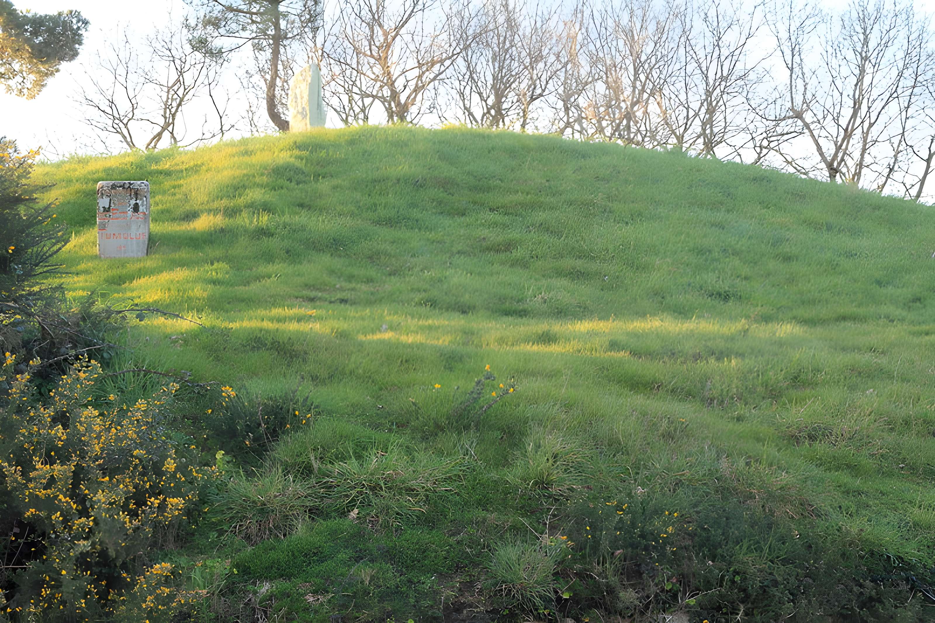Tumulus de Crucuny à Carnac