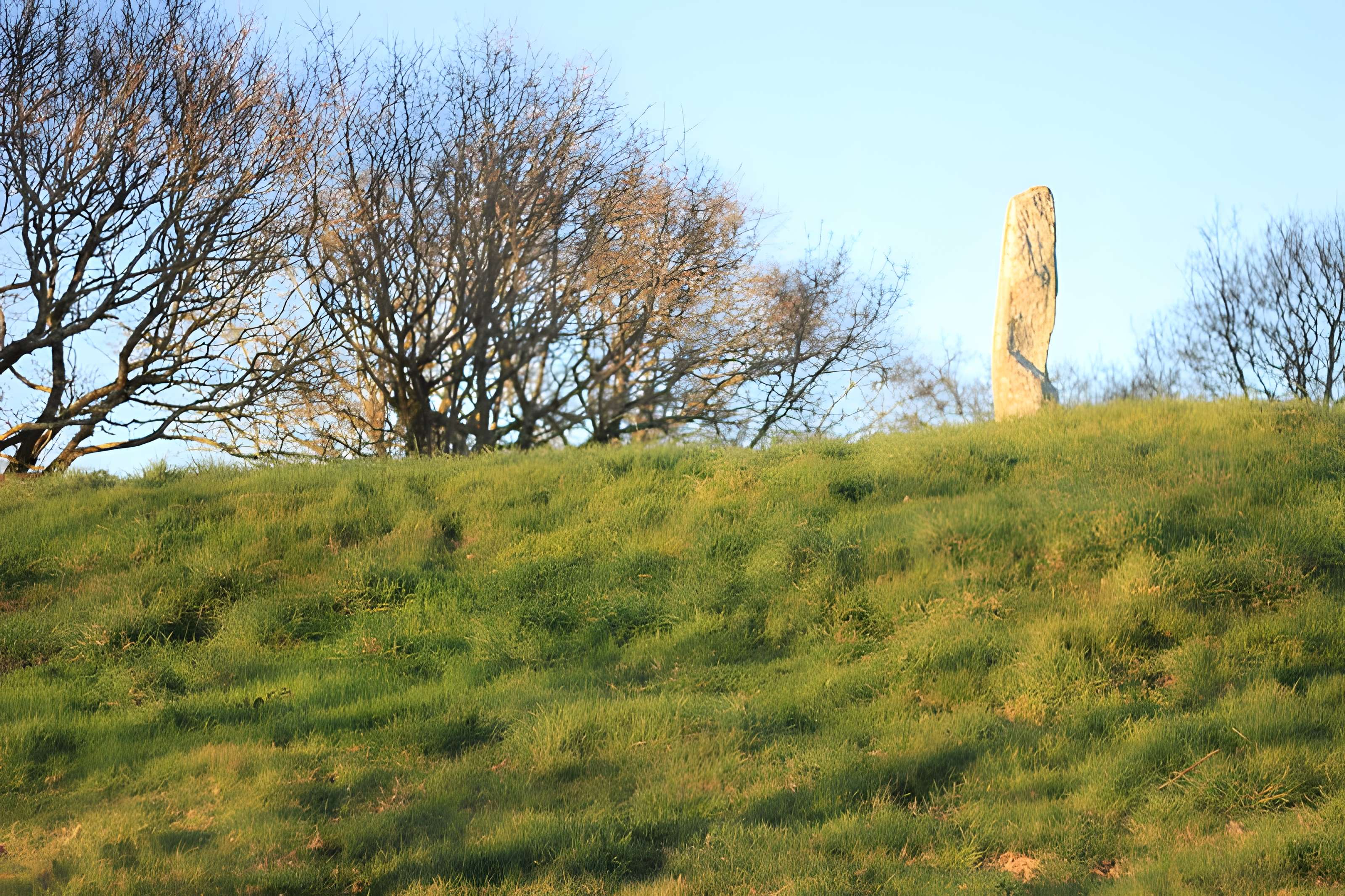 Tumulus de Crucuny à Carnac