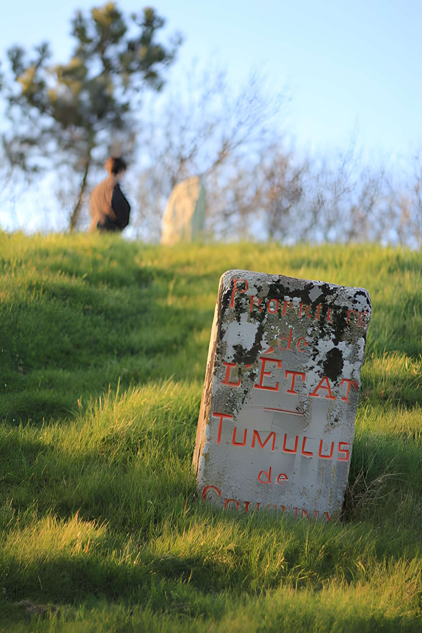 Tumulus de Crucuny à Carnac