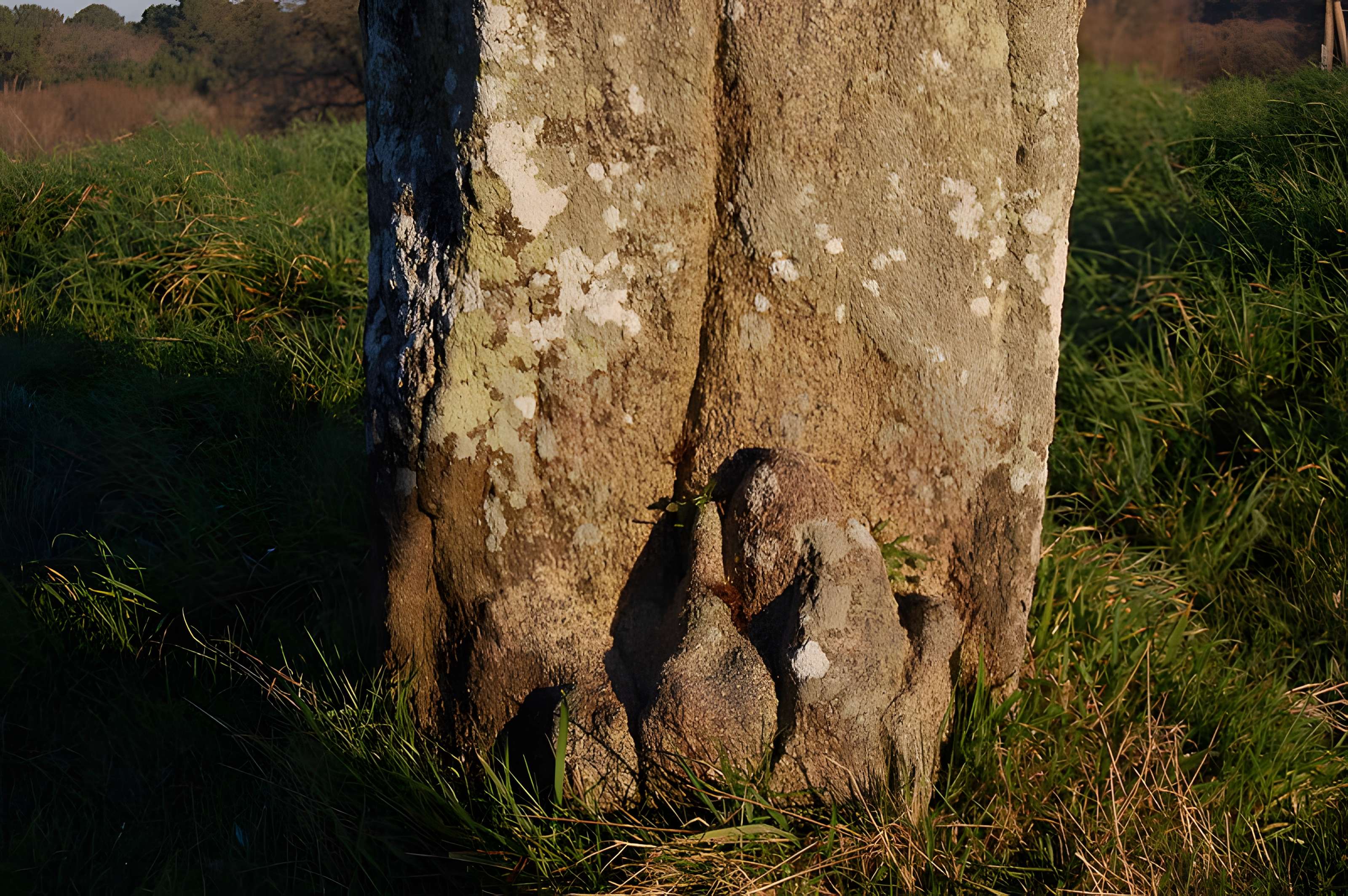 Tumulus de Crucuny à Carnac