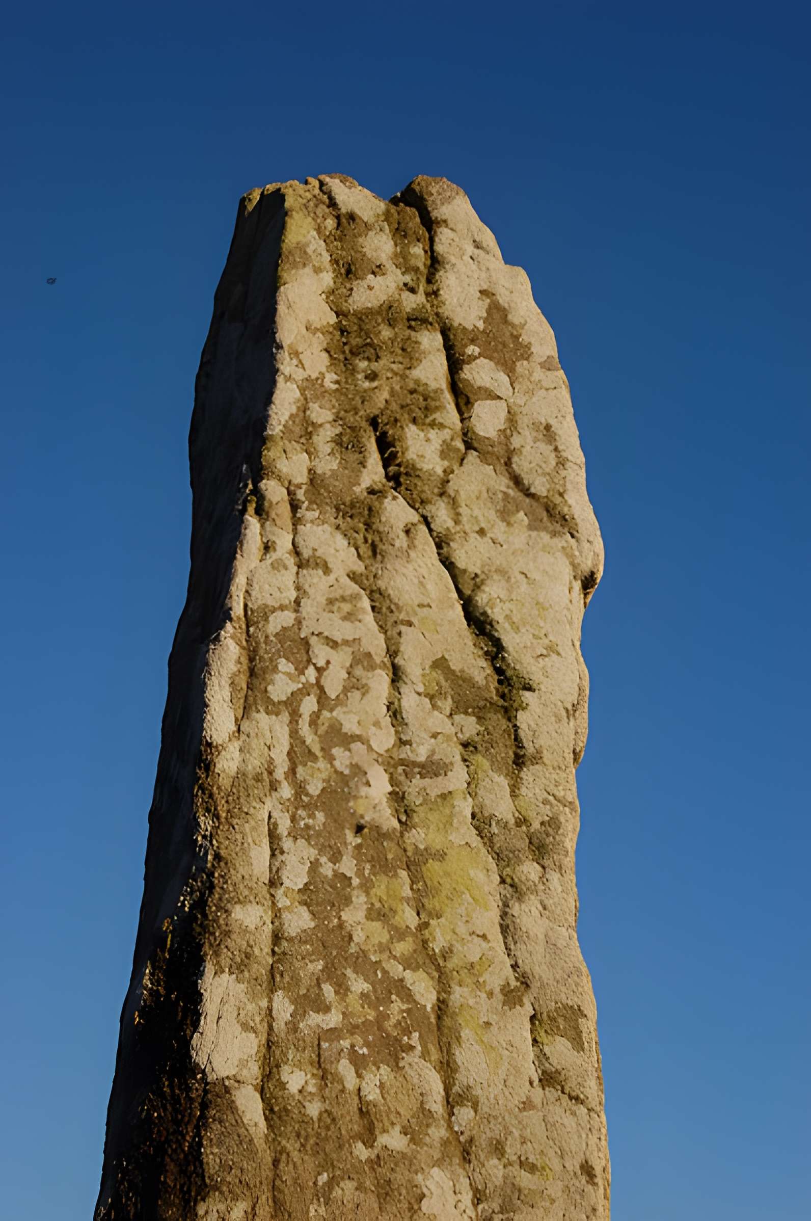 Tumulus de Crucuny à Carnac
