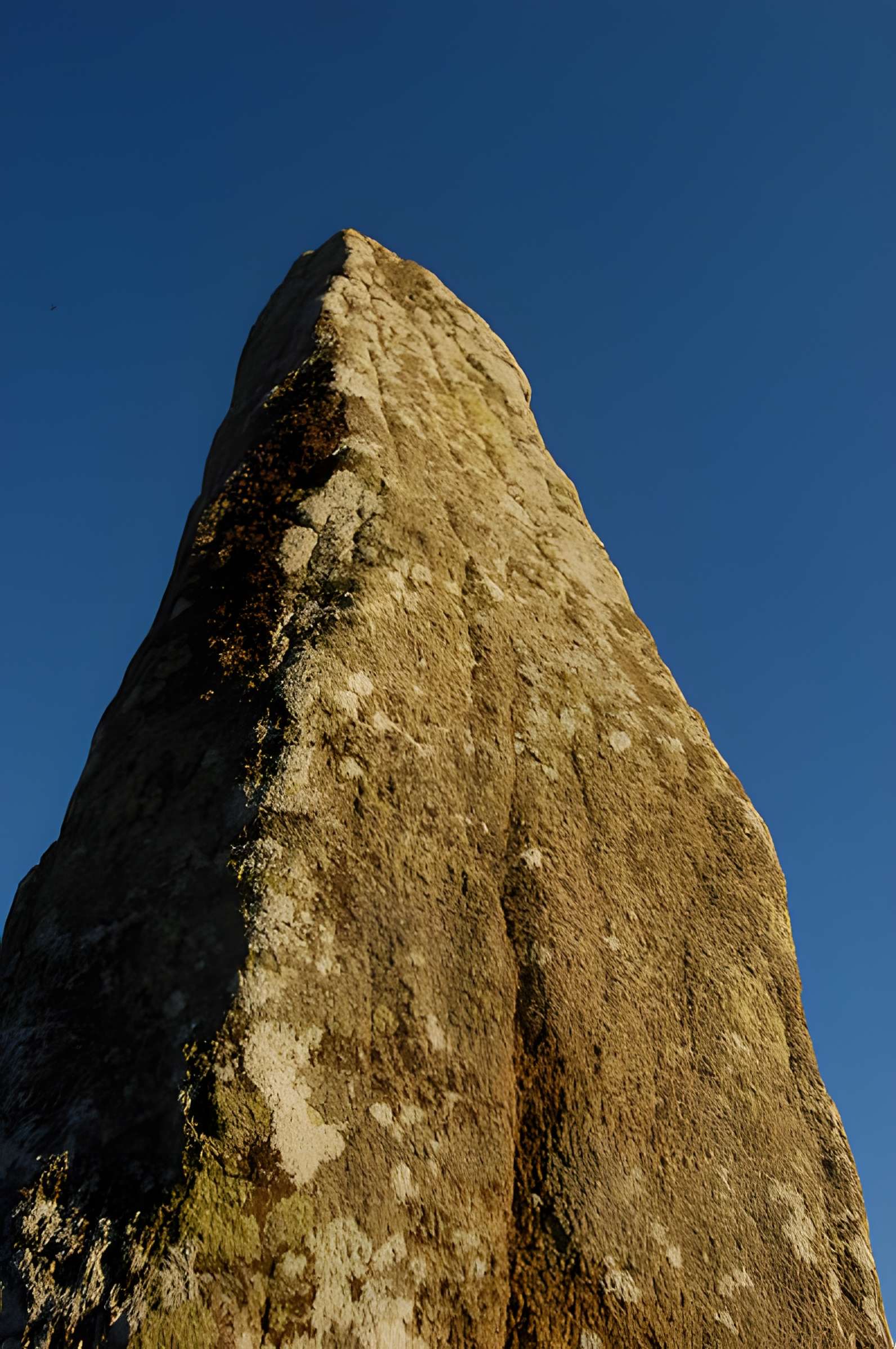 Tumulus de Crucuny à Carnac