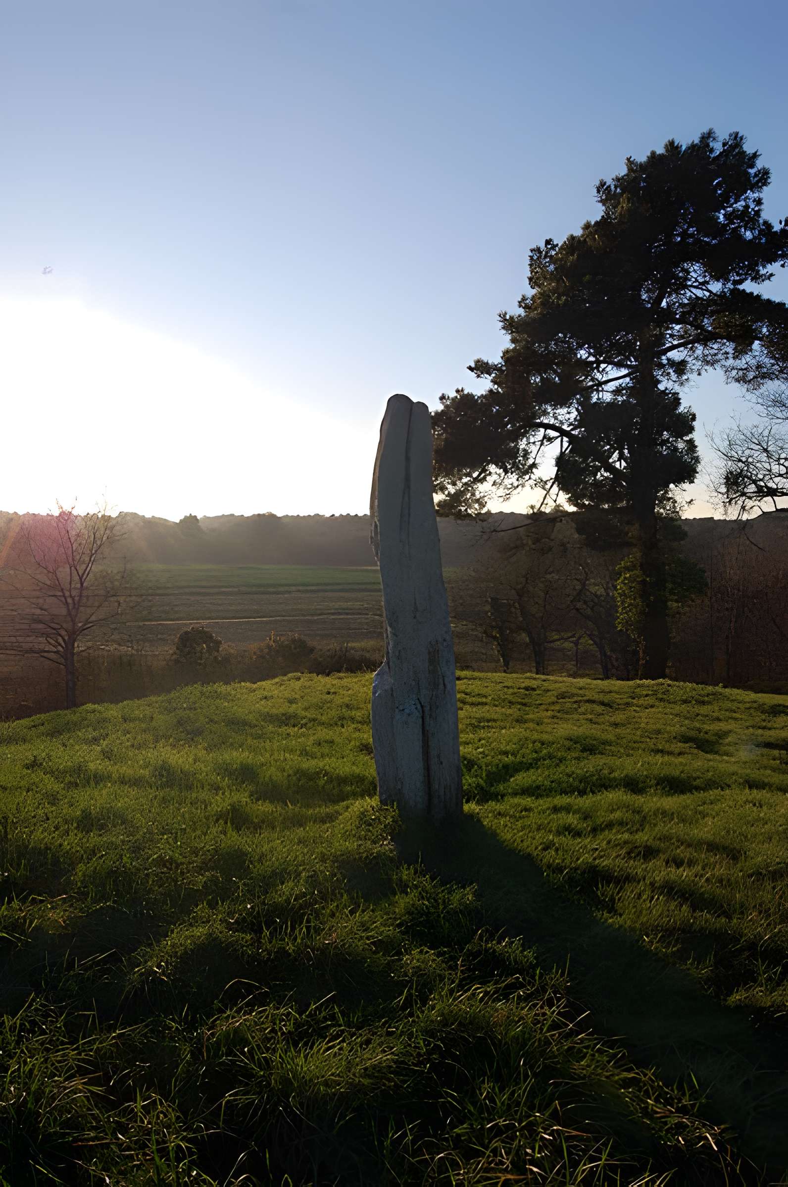 Tumulus de Crucuny à Carnac