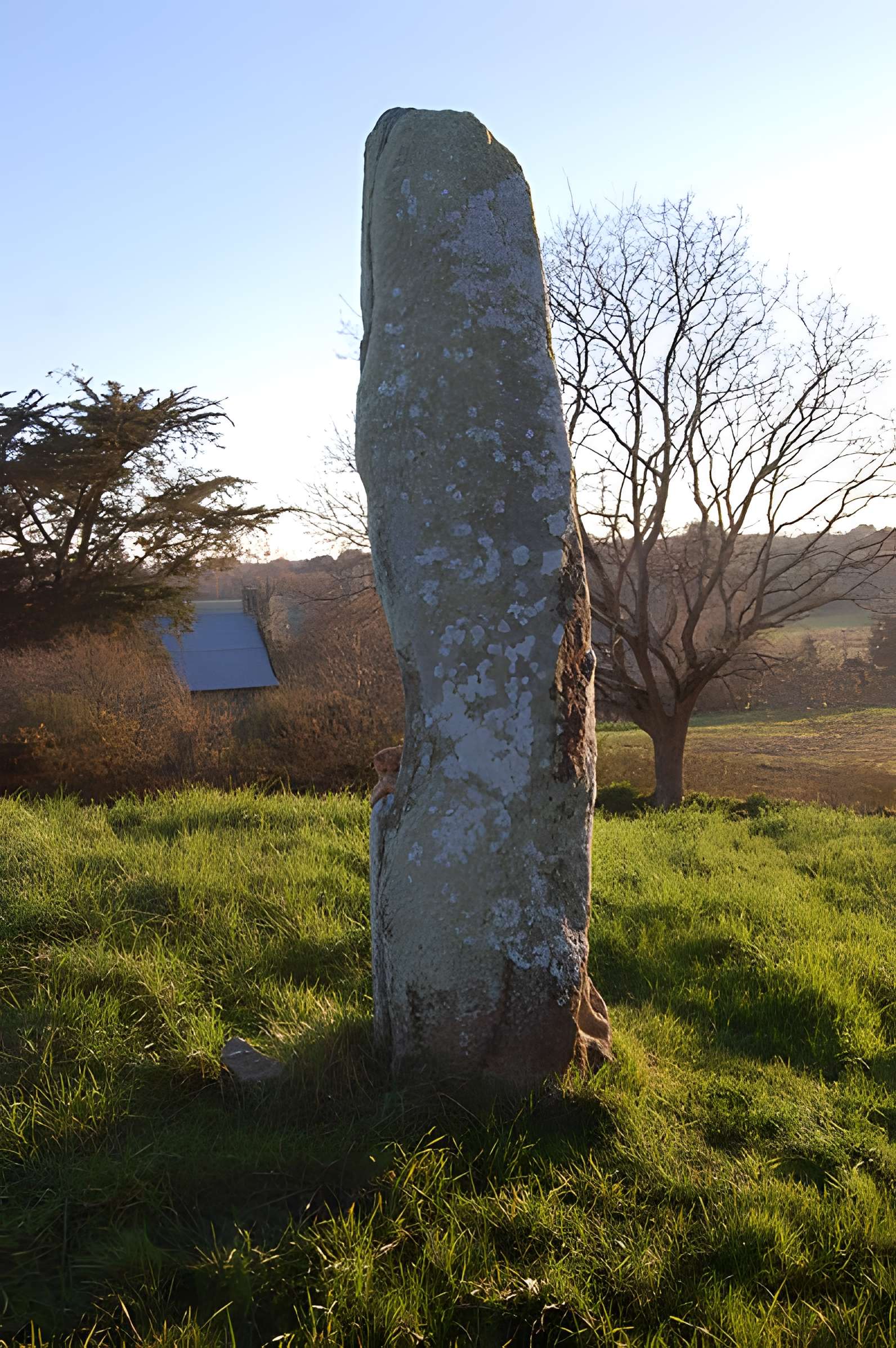 Tumulus de Crucuny à Carnac
