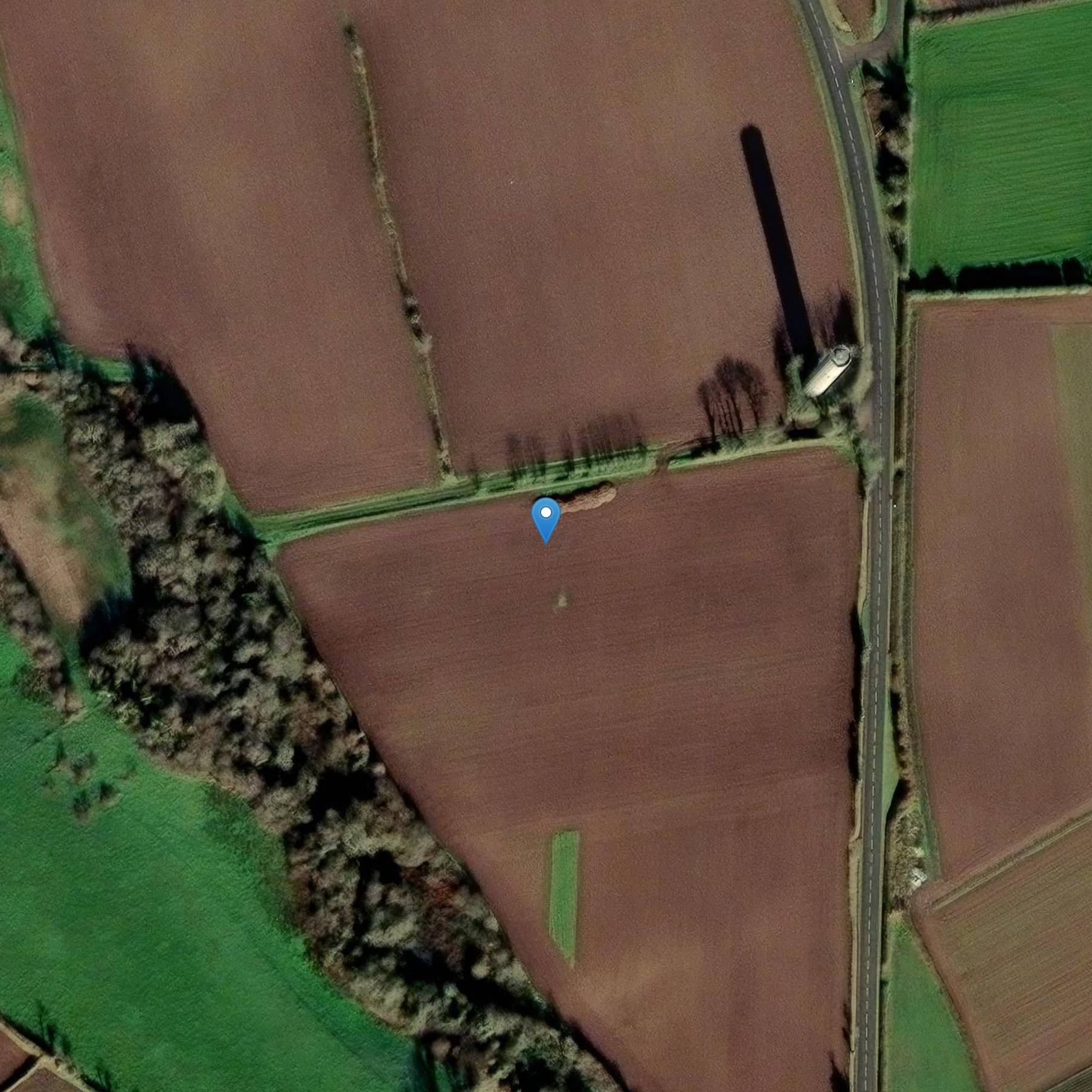 Photo de グイプロンベルのタムラス