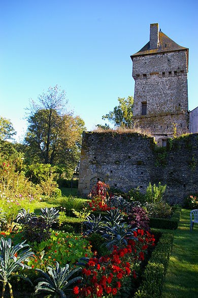 Photo de Château de la Courbe de Brée