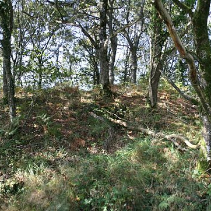 Photo de Tumulus de Kermain à Langonnet