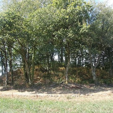 Tumulus de Kermain à Langonnet