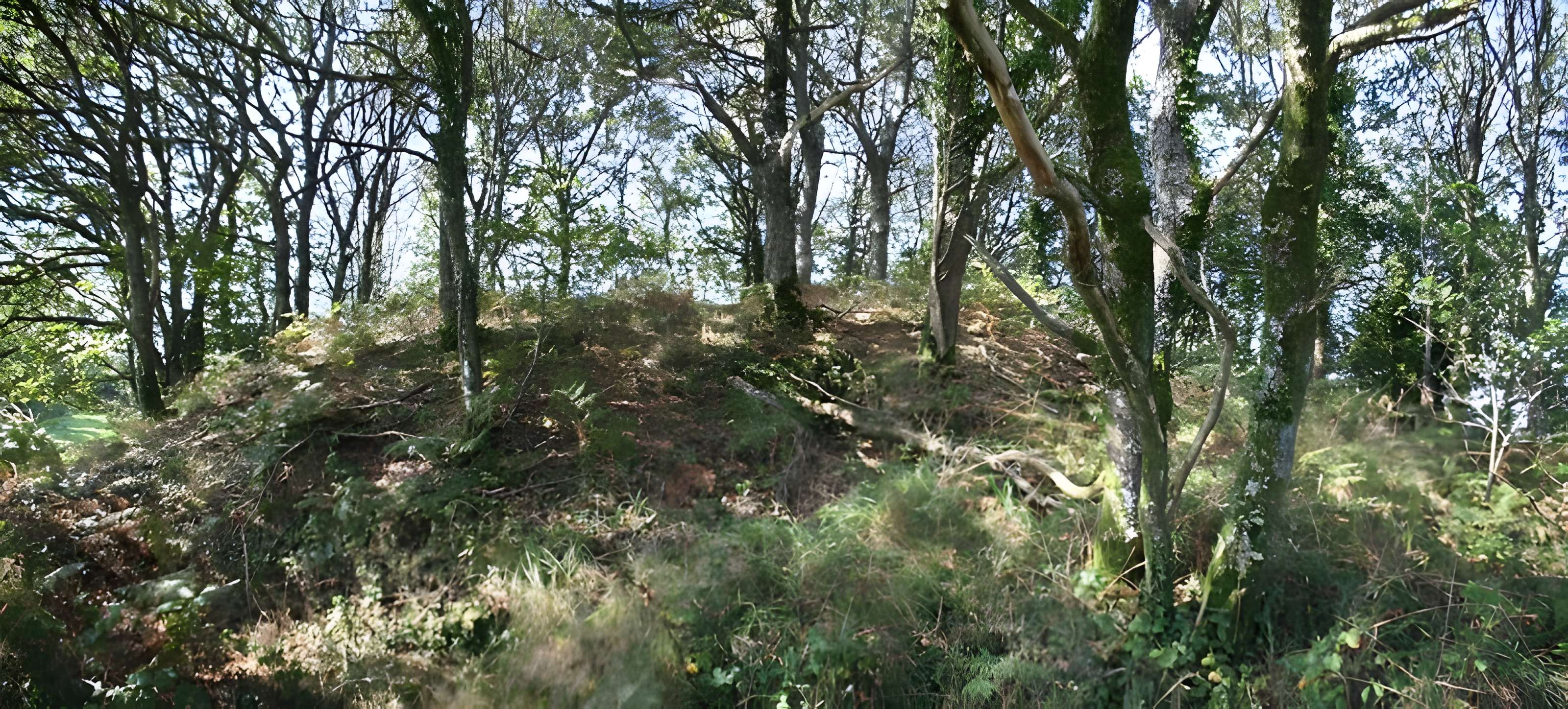 Tumulus de Kermain à Langonnet 