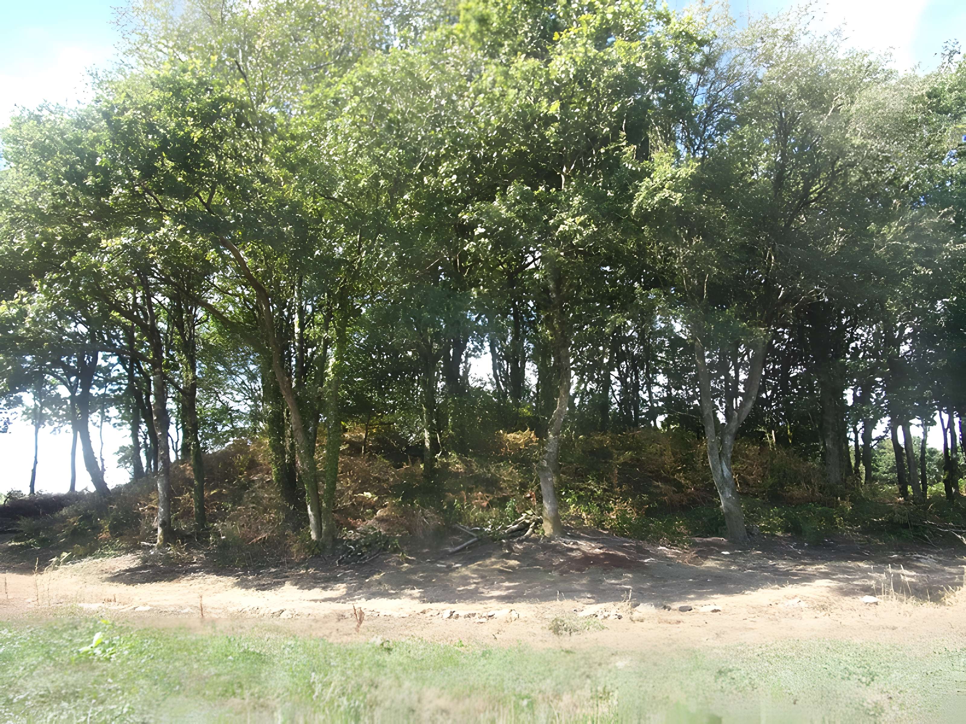 Tumulus de Kermain à Langonnet
