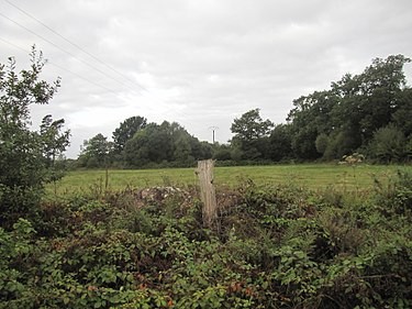 Photo de Tumulus de l'Hermitage à Guiscriff
