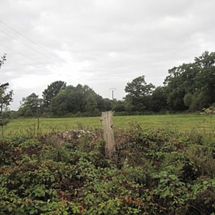 Photo de Tumulus de lHermitage à Guiscriff