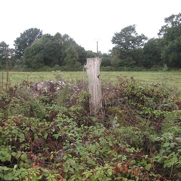 Tumulus de lHermitage à Guiscriff
