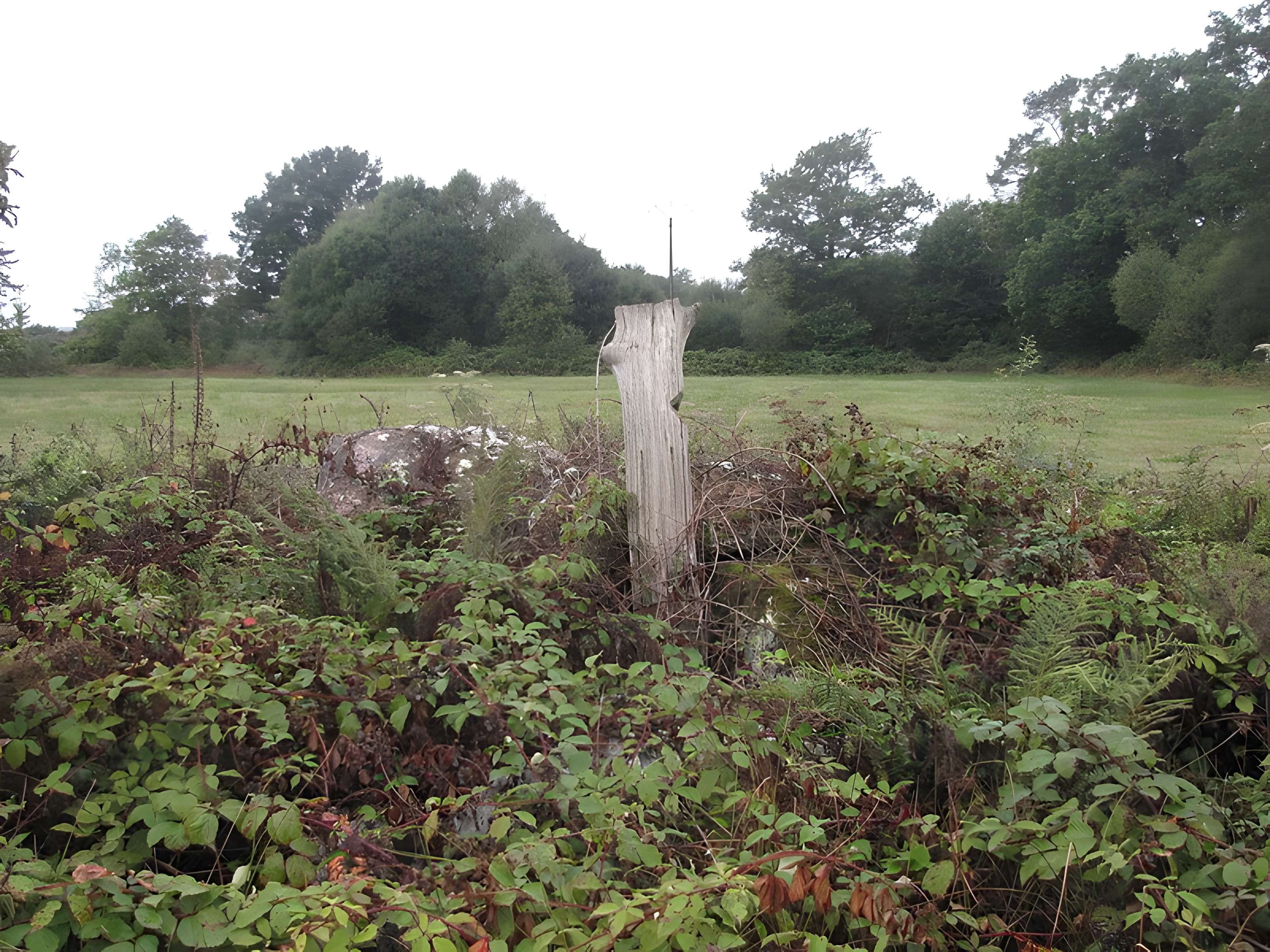 Tumulus de l'Hermitage à Guiscriff