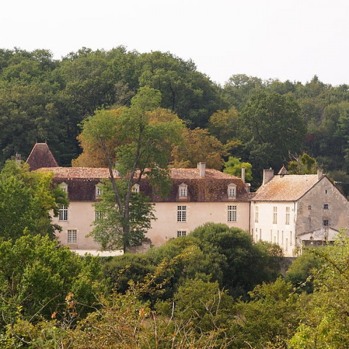 Photo de Château de la Faye à Deviat