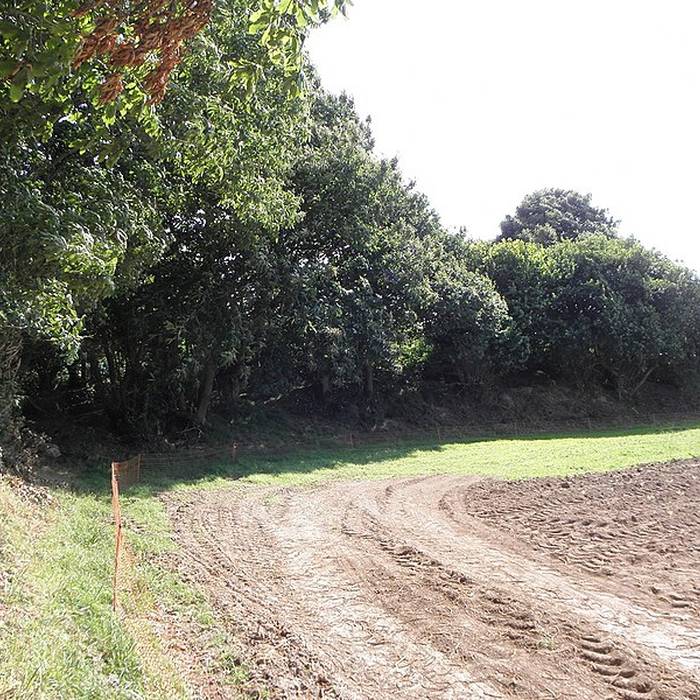 Photo de Tumulus de Plouégat-Guérand