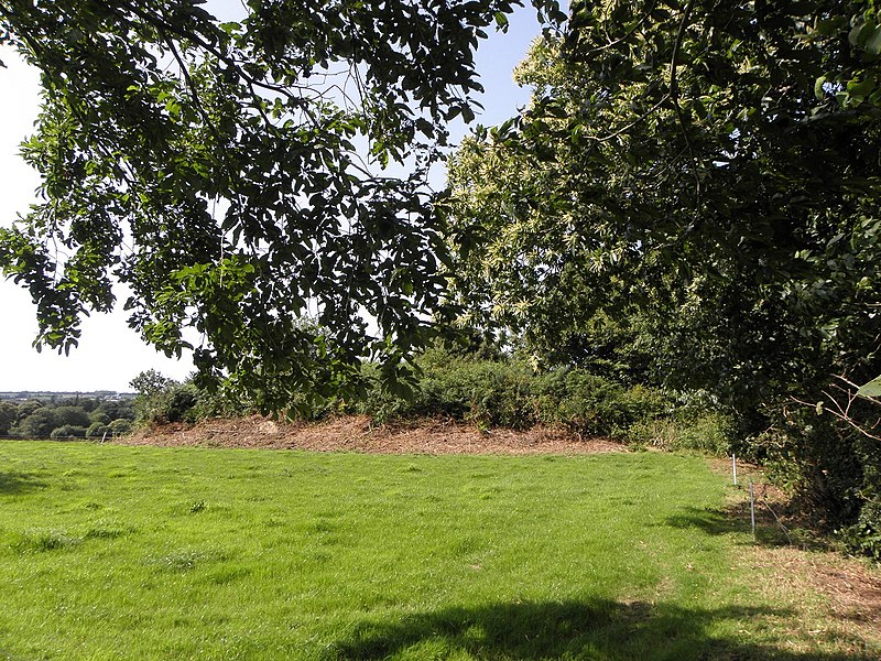 Tumulus de Plouégat-Guérand