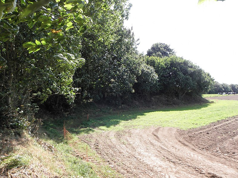 Tumulus de Plouégat-Guérand