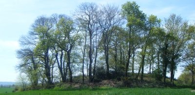 Photo de Tumulus de Saint Fiacre à Melrand